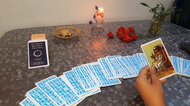 How is your valentine week going to be? | Valentine week prediction | tarot reading смотреть онлайн