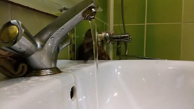 Печенечка смотреть онлайн
