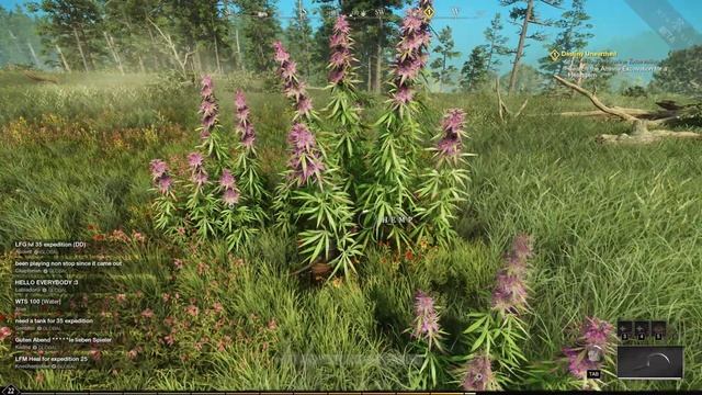 How To Farm Fibers/hemp/linen EASILY In New World MMO