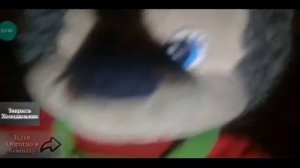 все скримеры пять ночей у Ёжика