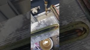 Ремонт электрокотла Протерм Скат 16 года выпуска, в Шаховском районе, Московской обл. 2025г.