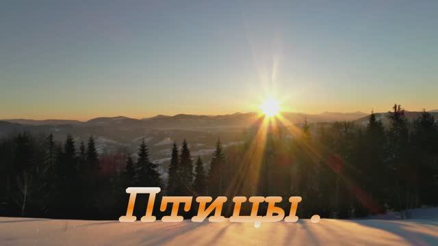 Птицы. смотреть онлайн