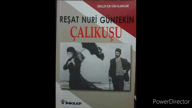 Reşat Nuri Güntekin Çalıkuşu 1922 choli qushi musiqasi kitob yozuvchisi Reşat Nuri Güntekin 1922 yi смотреть онлайн