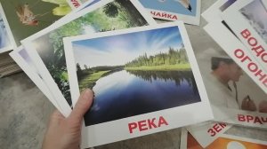 Методика Глена Доман развивающие карточки. Часть 1