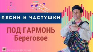 Народные песни под гармонь на вечеринке | Гармонист Владимир Кузнецов, Береговое #песниподгармонь