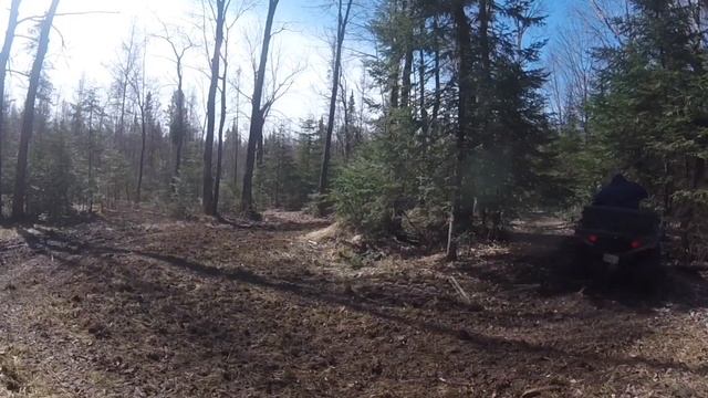 Planting Switchgrass смотреть онлайн