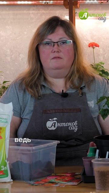 Домашнее выращивание томатов смотреть онлайн