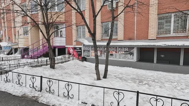 5700662, улица Болотникова смотреть онлайн
