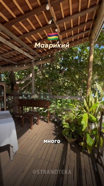 Отель LUX LE MORNE 5* - отель с историей и мы любим в него возвращаться ❤️ смотреть онлайн