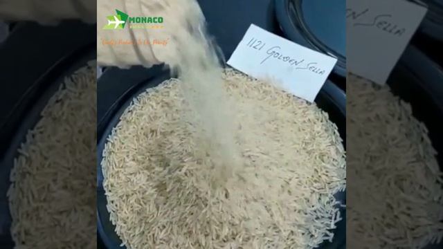 How We Choose Best Quality Rice | 1121 Golden Sella смотреть онлайн