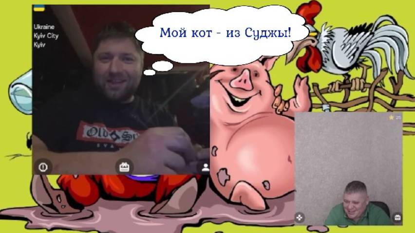ОкрАинец у кота корм забирает))) 02.03.25 смотреть онлайн