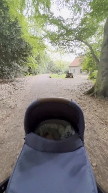 Malmö Daily Walks Pildammsparken 25.05.2022 #malmo #skåne #shorts