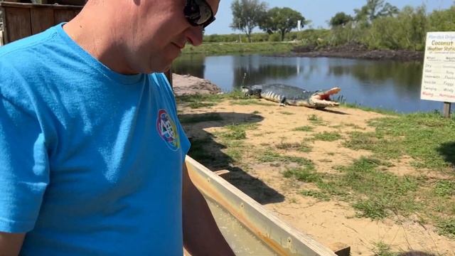 Showcase of Citrus | FAMILY VLOG | Clermont, Florida | Florida Landmark | Florida Citrus Grower смотреть онлайн