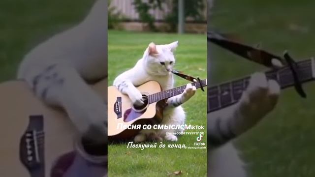 Download (3)*** смотреть онлайн