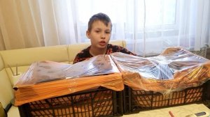 Посадка бархатцев без пикировки.