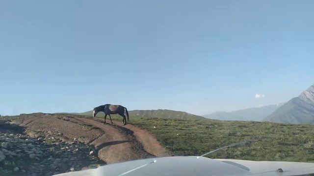 жайлоо Токбай-Ата смотреть онлайн