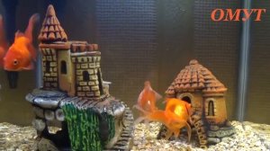 75. УБИРАЕМ ВАРИКОЗ ...И КЛАДБИЩЕНСКУЮ ПОРЧУ...