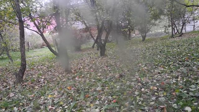 На ветках черёмух сияли рубином смотреть онлайн