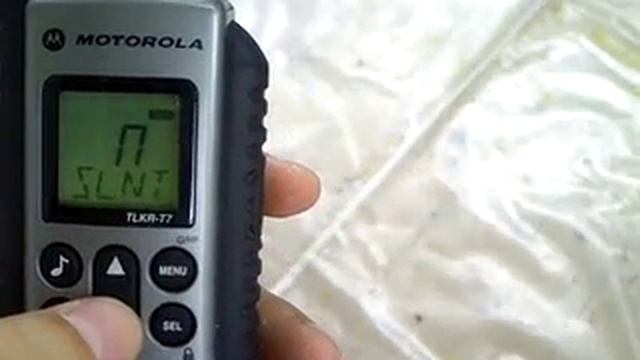 Motorola Tlkr T7