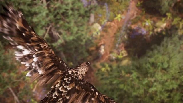 Трейлер Windstorm: The Legend Of Khiimori