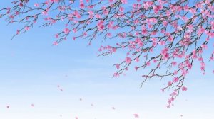 футаж ЯПОНСКИЕ ЦВЕТЫ