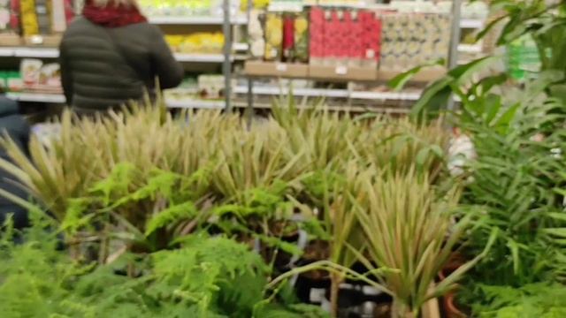 ДЕРЕВЕНСКИЙ ДНЕВНИК. "НОВЫЙ СЦЕНАРИЙ" смотреть онлайн