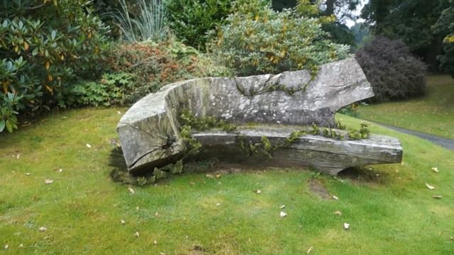 Matchmoving - Ivy Growing On Wooden Bench
