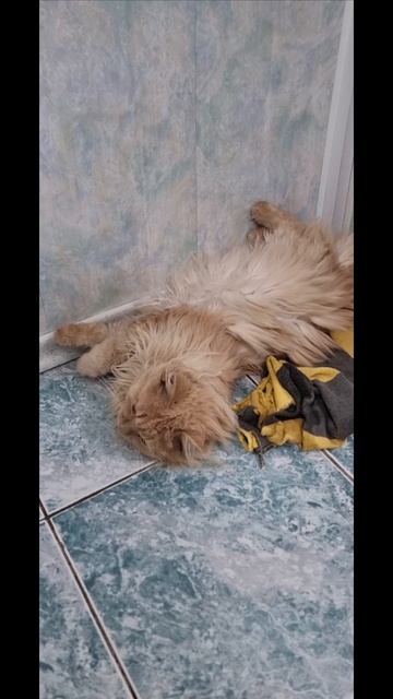 обидели ребёнка)