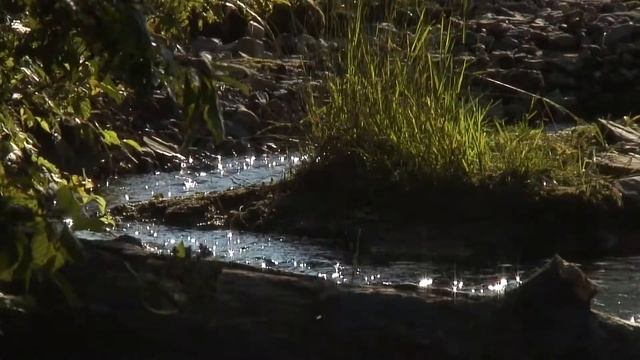 Чайная школа Мастерская состояний "ГунФуЧа.Ру" 2012 07 6мин 35сек смотреть онлайн