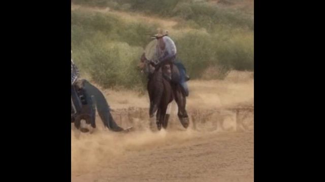 Cowboys riding Dinosaurs смотреть онлайн