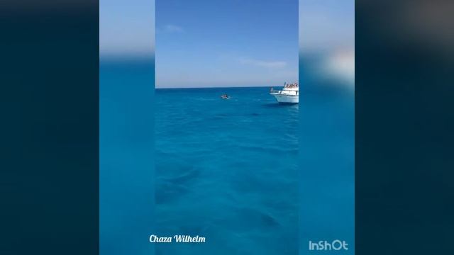 Delphine bei Hurghada смотреть онлайн