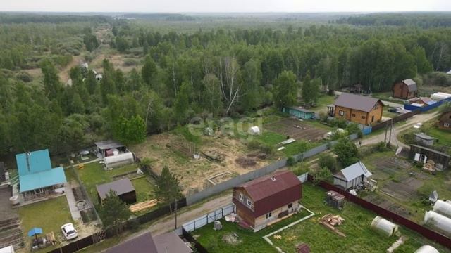 9404614 (1) лесная сказка смотреть онлайн