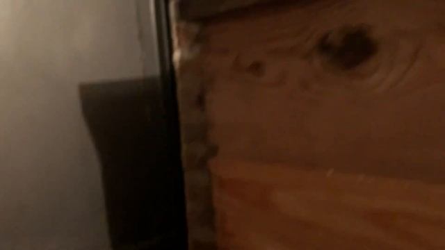 Если моль ест темные рамки делай так… Как сохранить темную сушь от восковой моли смотреть онлайн