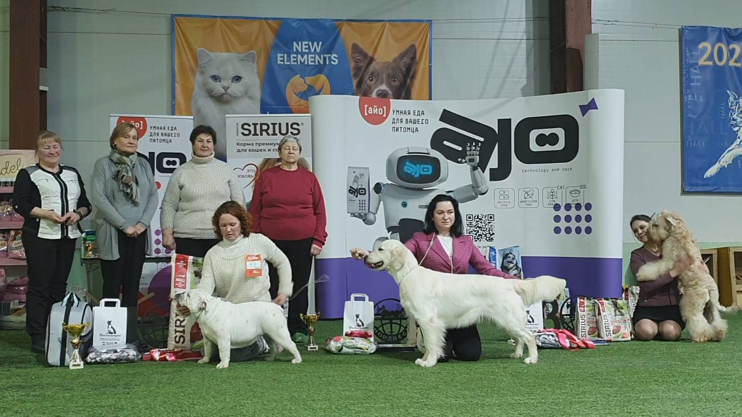 02.03.2025, СПб. Клуб "Нордвест-1" (РКФ, РФЛС). Выставка собак "НОРДВЕСТ-СЕВЕРОЗАПАД" (САС, ЧРКФ) смотреть онлайн