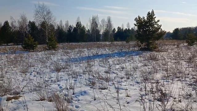 дер. Лапшиха 2 смотреть онлайн