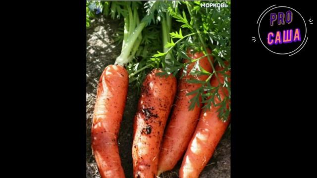 Развитие. Игры. ЕДА. Домашние животные. Мультики. Обучающие игры. Увлекательное обучение. смотреть онлайн