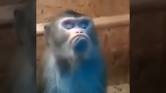 я обиделась ) дадада девушки они такие смотреть онлайн