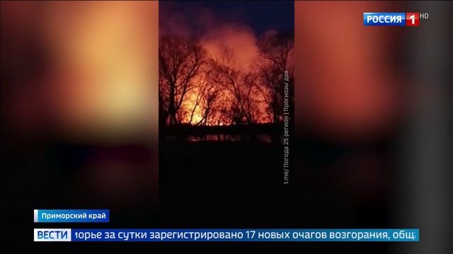 Россия 1, Борьба с пожарами в Приморском крае, 3 марта 2025 смотреть онлайн
