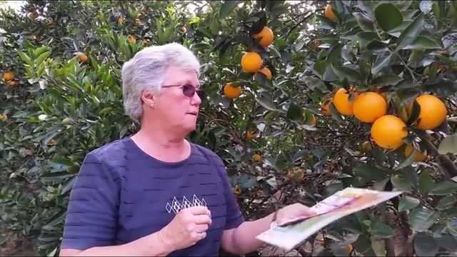 mandarin picking the right way смотреть онлайн