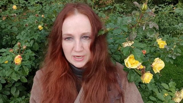 Пастушка бытия смотреть онлайн
