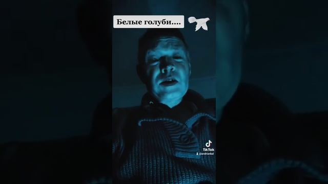 Белые голуби!!! смотреть онлайн