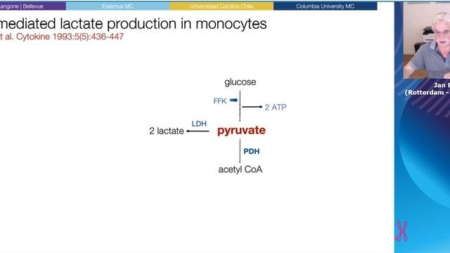 Lactate metabolism for dummies Jan Bakker 2021