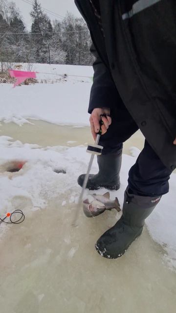 Поимка на кул плейс. смотреть онлайн