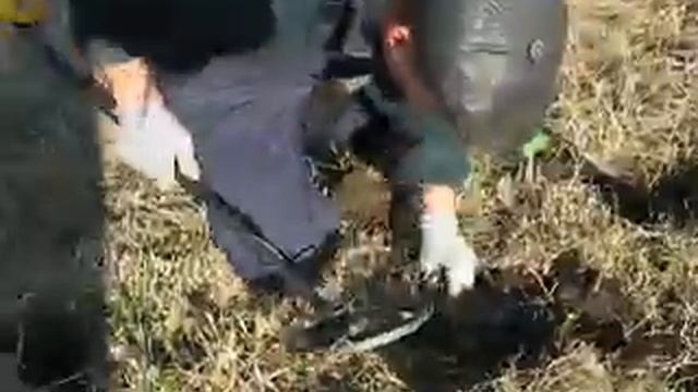 Коп в ВКО смотреть онлайн