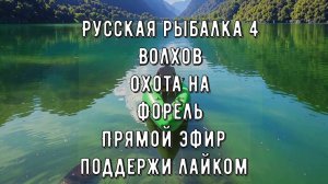 Рыбалка!Зверь вымотал 300 метров лески! Озеро Куори! Охота на ФОРЕЛЬ! Стрим!