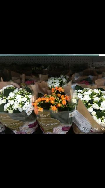 3 года назад смотреть онлайн