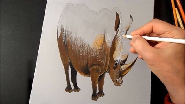 HOW TO DRAW RHINOCEROS ✅ - 3D Trick Art on Paper - By Vamos смотреть онлайн