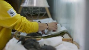 BBC: Планета Земля III 8 серия «Герои» (документальный сериал, 2023)