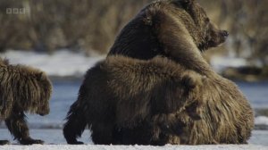 Азия 3 серия «Замёрзший север» (документальный сериал, 2024)