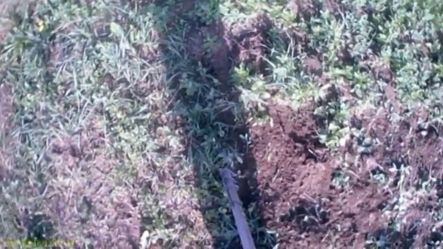 Супер тяпка убийца сорняков #дачасадогород смотреть онлайн